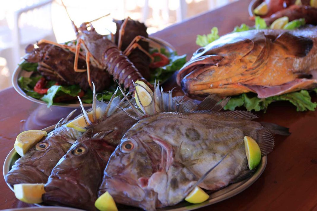 Bodegón de pescados de un restaurante de playa.