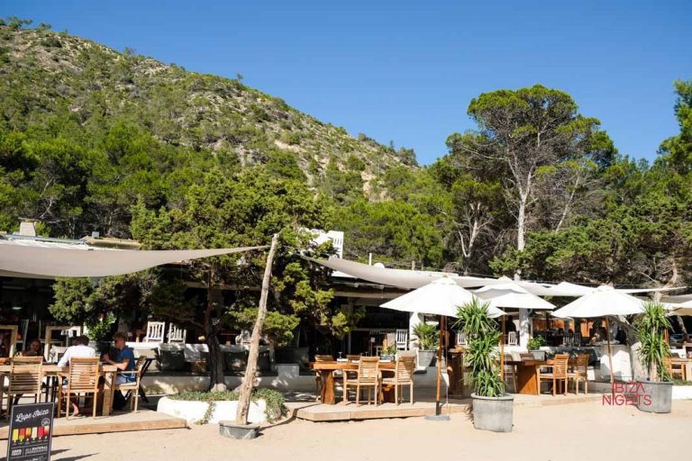 El beach club Elements Ibiza se encuentra en plena naturaleza.